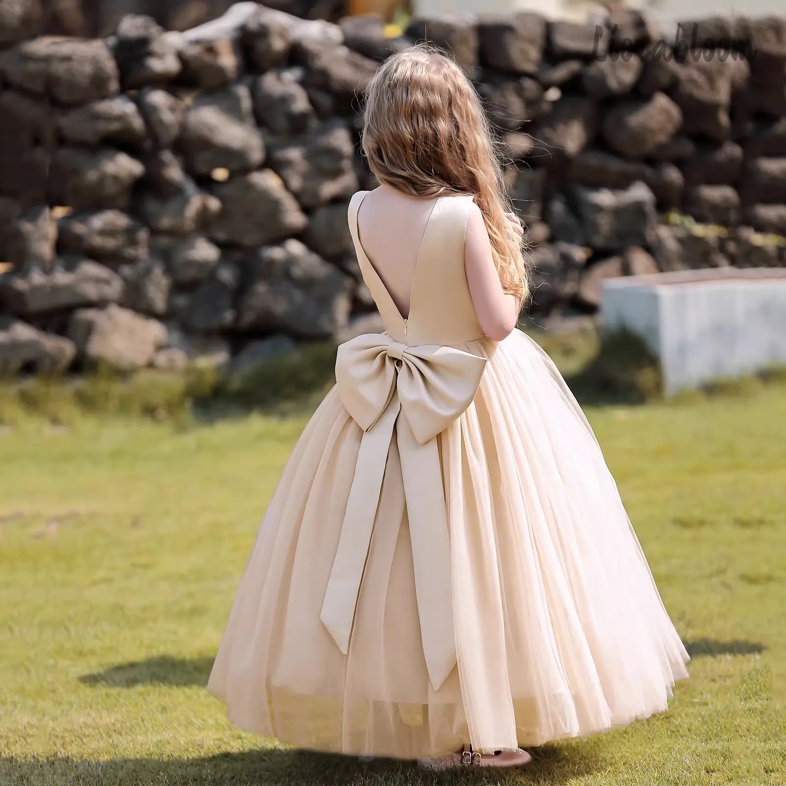 Multicolor Backless Princess D - Woman Formal Wear ulasan dan harga